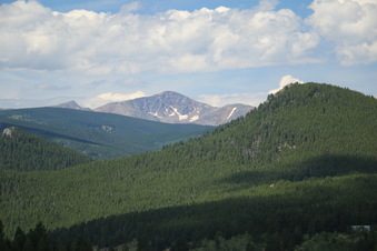 Enlarge photo 117