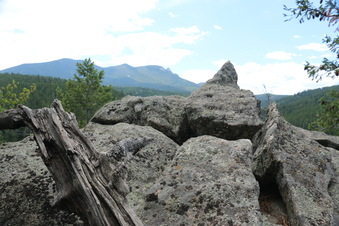 Enlarge photo 118