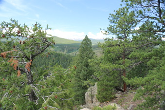 Enlarge photo 123