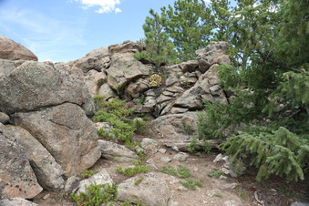 Enlarge photo 126