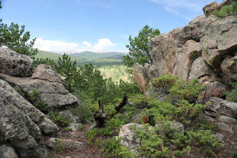 Enlarge photo 128