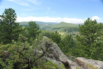 Enlarge photo 130