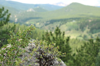 Enlarge photo 131
