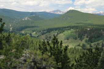 Enlarge photo 132