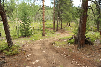 Enlarge photo 150