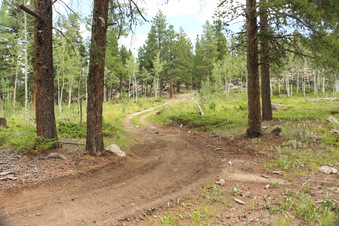 Enlarge photo 151