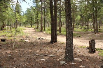 Enlarge photo 152