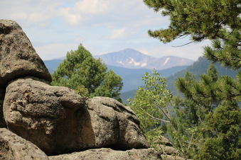 Enlarge photo 155