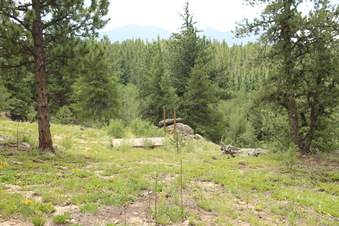 Enlarge photo 39