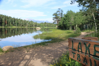 Enlarge photo 12