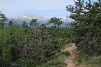 Enlarge photo 41