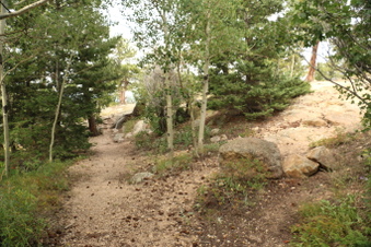 Enlarge photo 60