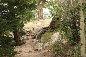 Enlarge photo 61