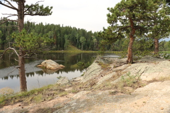 Enlarge photo 63