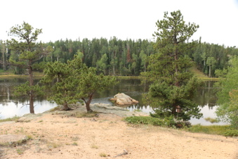 Enlarge photo 64