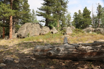 Enlarge photo 83