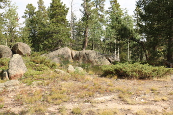 Enlarge photo 84