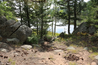 Enlarge photo 89