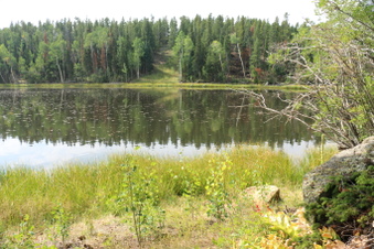 Enlarge photo 90