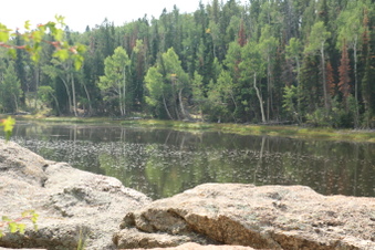 Enlarge photo 92