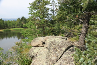 Enlarge photo 95