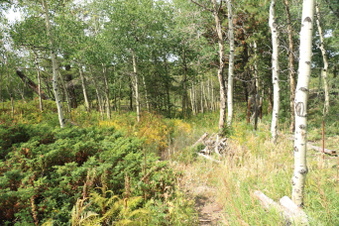 Enlarge photo 107