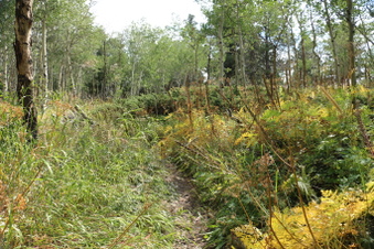 Enlarge photo 108