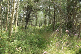 Enlarge photo 111