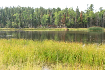 Enlarge photo 113