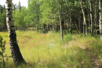 Enlarge photo 118
