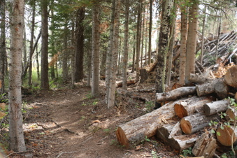 Enlarge photo 127
