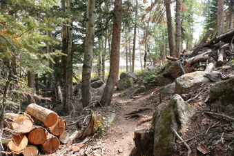 Enlarge photo 128