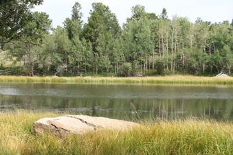 Enlarge photo 129
