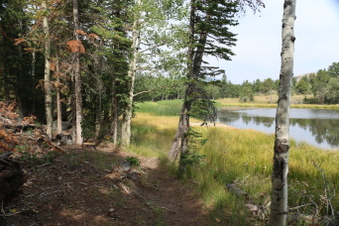 Enlarge photo 132