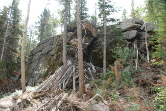 Enlarge photo 133