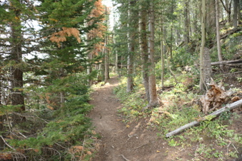 Enlarge photo 138