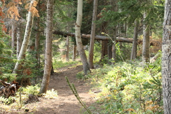 Enlarge photo 139