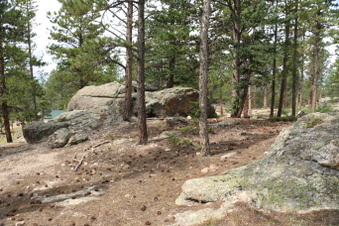 Enlarge photo 183