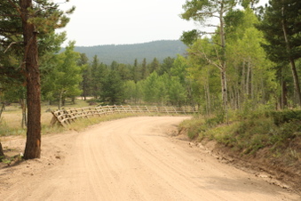 Enlarge photo 209