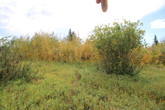 Enlarge photo 5