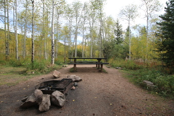 Enlarge photo 11