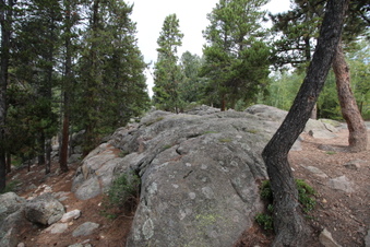 Enlarge photo 17