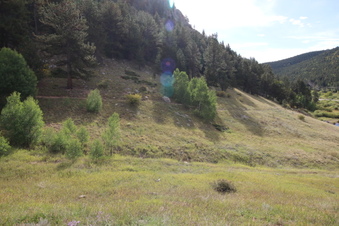 Enlarge photo 11