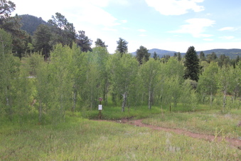Enlarge photo 3