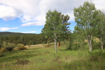 Enlarge photo 8