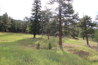 Enlarge photo 4
