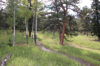 Enlarge photo 9
