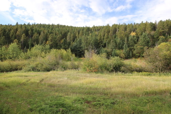 Enlarge photo 1
