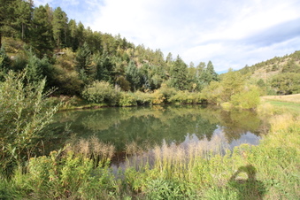 Enlarge photo 5
