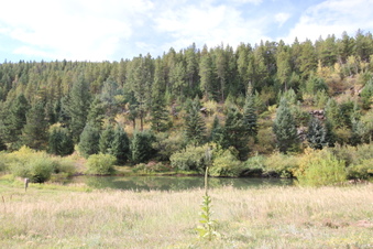 Enlarge photo 8